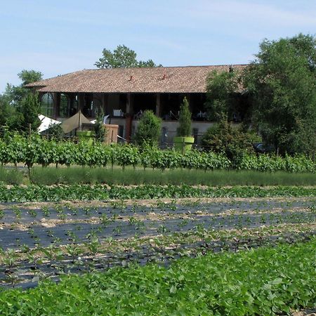 Agriturismo Cascina Caremma Besate ภายนอก รูปภาพ