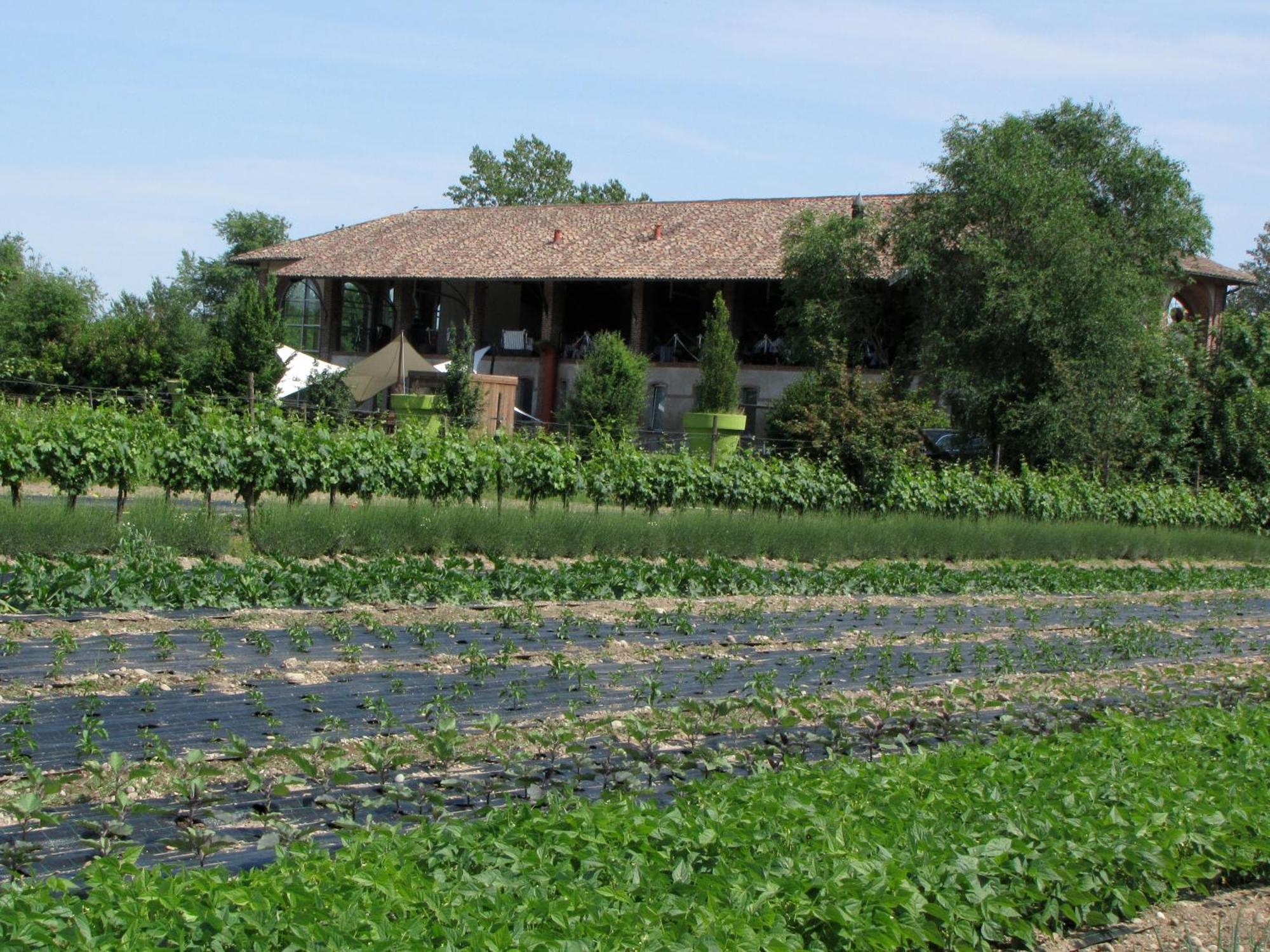 Agriturismo Cascina Caremma Besate ภายนอก รูปภาพ