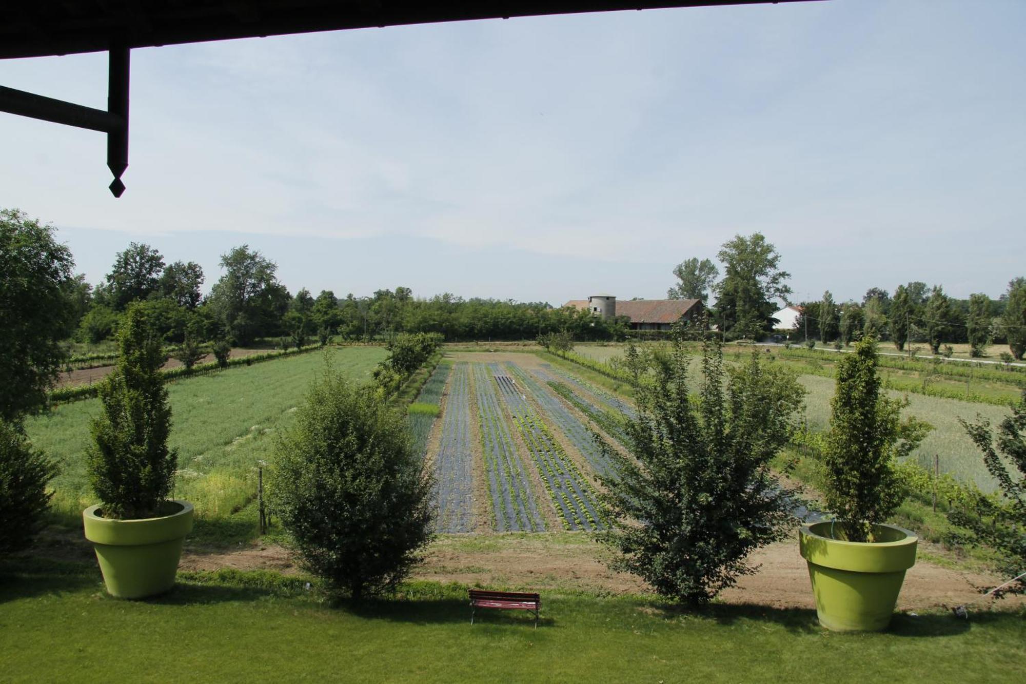 Agriturismo Cascina Caremma Besate ภายนอก รูปภาพ
