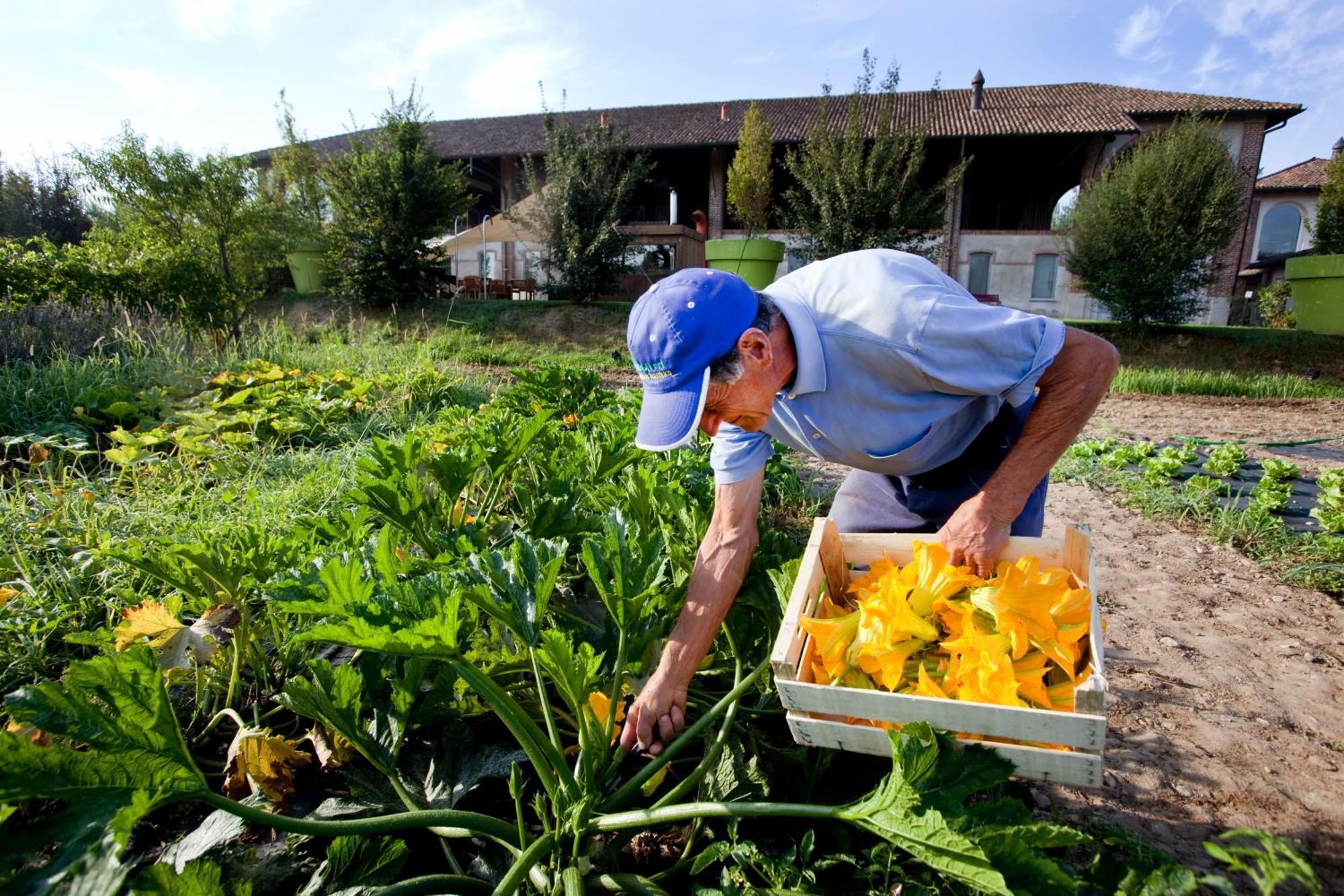 Agriturismo Cascina Caremma Besate ภายนอก รูปภาพ